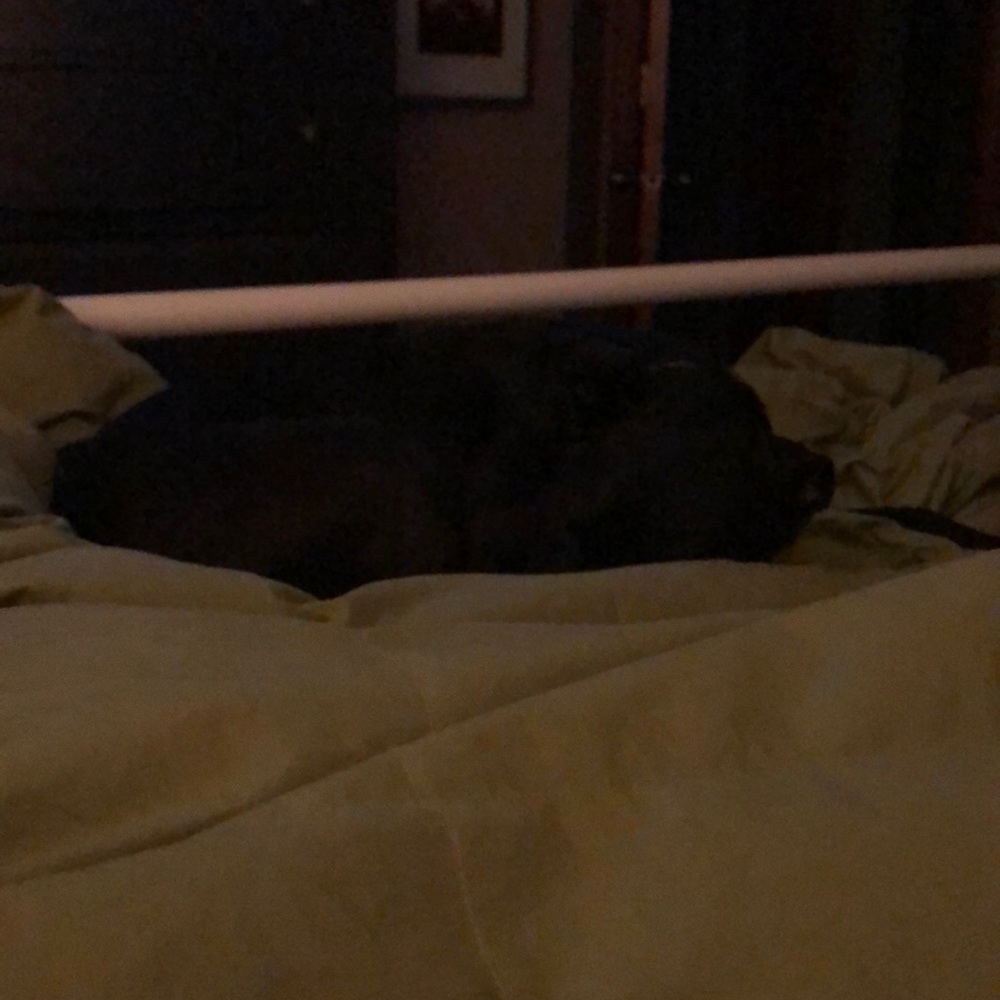 Meet your Posher, Lauta